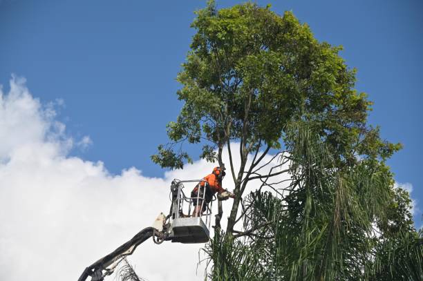 Leaf Removal in Baldwinville, MA